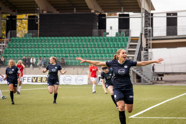 重要一员 重要一员